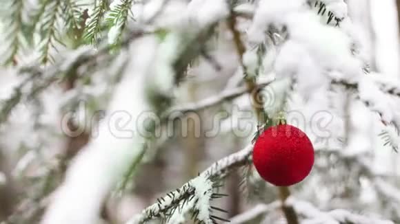 带雪和红色地球仪的圣诞树视频的预览图