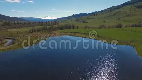 飞越树木到山湖的空中飞行视频的预览图