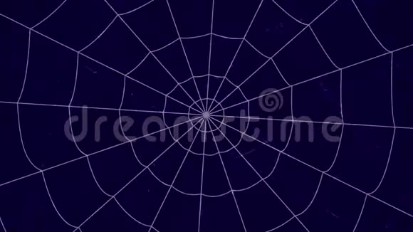 蓝色背景上的同心蜘蛛网蜘蛛爬向中心视频的预览图