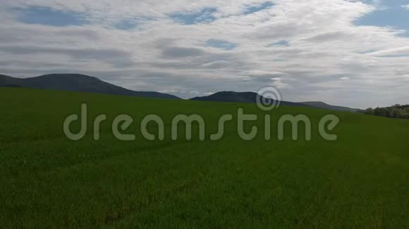 用绿芽对场地进行空中勘测来自航空摄影的冬麦田农业粮食作物视频的预览图