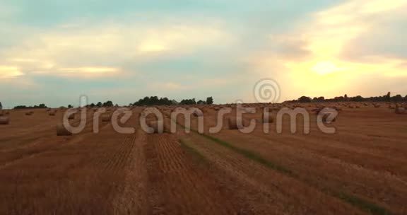 在日落的天空下一片长满稻草的田野4k空中飞行视频的预览图
