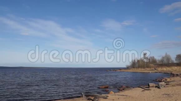 春天晴天平静的湖面视频的预览图