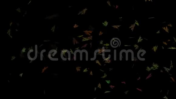 飞秋叶循环覆盖图形元素V2视频的预览图