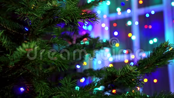 用圣诞彩灯在圣诞树上装饰手工视频的预览图