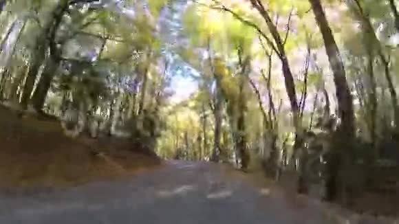 在温暖的秋日有车的森林之路视频的预览图