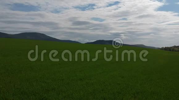 用绿芽对场地进行空中勘测来自航空摄影的冬麦田农业粮食作物视频的预览图