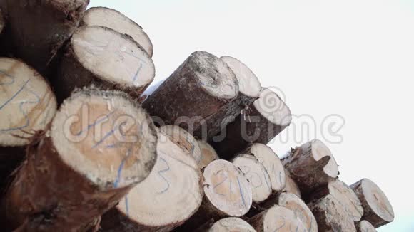 木材原木堆在锯木厂上面有数字标记视频的预览图