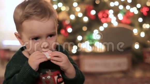 小男孩坐在圣诞树附近视频的预览图