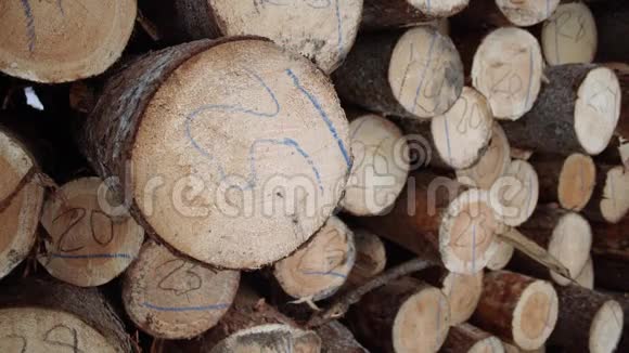 锯木厂用数字标记的木材桩视频的预览图