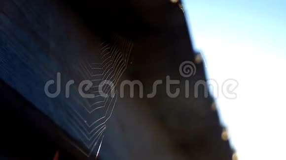 屋顶网太阳光早晨蜘蛛自然阳光慢动作视频视频的预览图