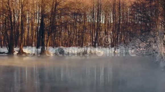 冬季仙境冬季景观冬天森林河上的雾视频的预览图