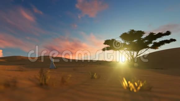 日落时分阿拉伯人穿过沙漠走向绿洲视频的预览图