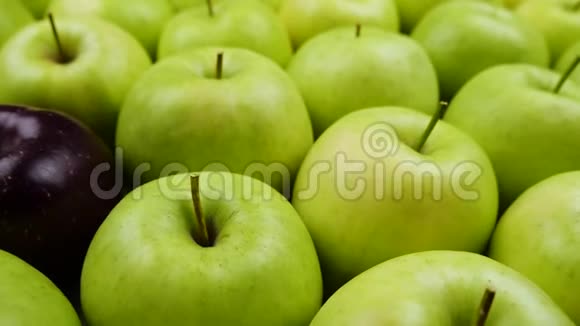 苹果清新自然背景从树上收获天然苹果杂货店果蔬部视频的预览图