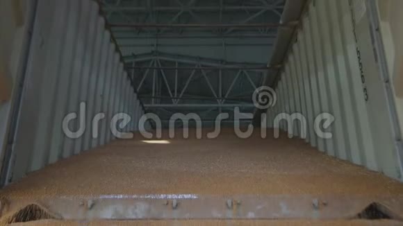 小麦从卡车卸到仓库的慢速运动框架小麦在仓库装载的慢速运动框架视频的预览图