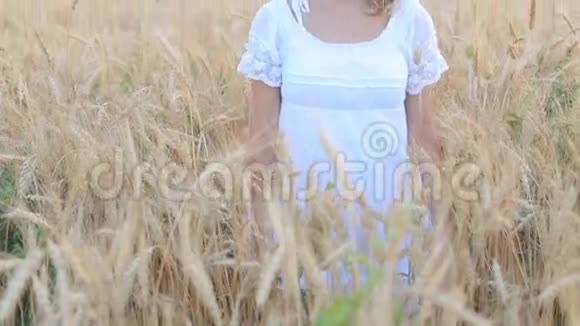 金色田野上美丽的微笑女孩欢笑和快乐的年轻模特视频的预览图