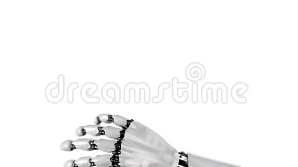 蝴蝶在机器人的手上白色背景美丽的三维动画与深度4K见更多视频的预览图
