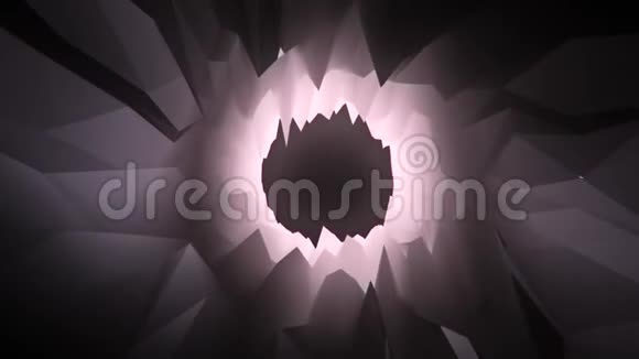 BW三维低聚晶洞隧道循环运动背景视频的预览图