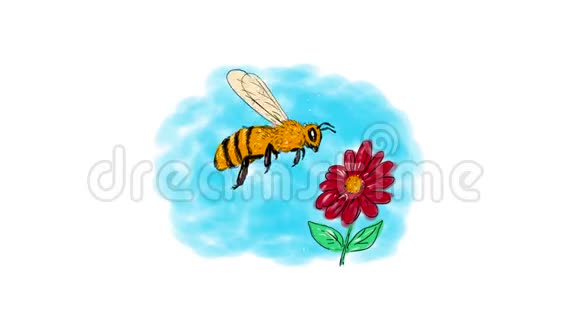 蜜蜂悬花绘图2D动画视频的预览图