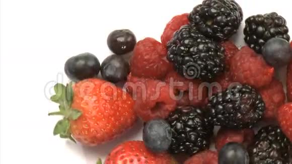 蓝莓草莓黑莓4视频的预览图