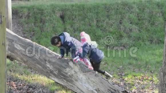 孩子们在倒下的树干上玩耍视频的预览图