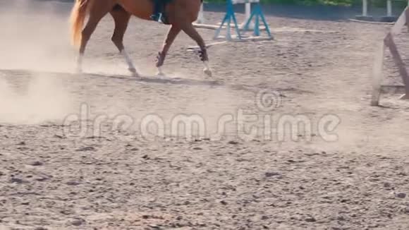 马足在训练区的沙地上奔跑马腿特写在地上疾驰动作缓慢视频的预览图