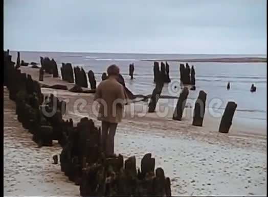 海滩漫步人的后景视频的预览图