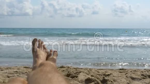 狮子座躺在海边的沙滩上视频的预览图