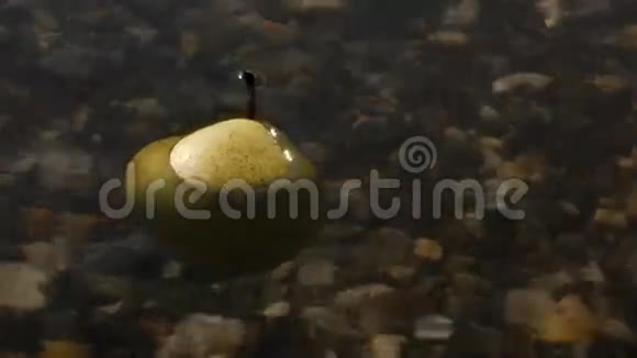 河水中的石梨视频的预览图