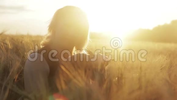 在玉米地日落时和英国猫在一起的女孩视频的预览图