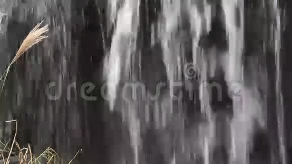 近距离观看瀑布下的瀑布视频的预览图