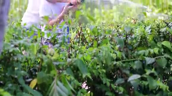 亚洲的母子正在给树浇水站在花园里的树荫下视频的预览图