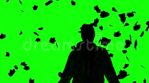 绿屏上落叶下的男人剪影视频的预览图