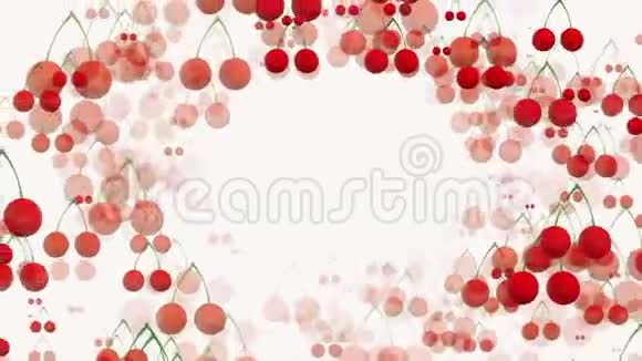 白色背景的红醋栗樱桃视频的预览图