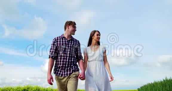 浪漫的情侣在野外散步时牵手视频的预览图
