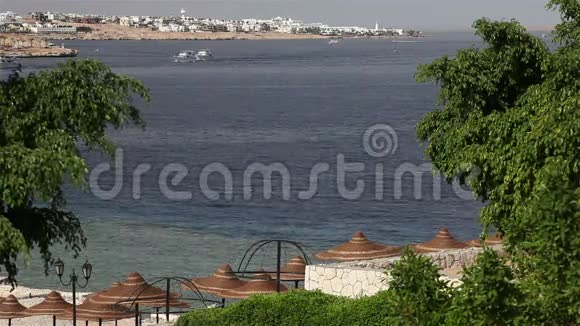 在红海里的船埃及鲨鱼湾地区沙姆沙伊赫视频的预览图