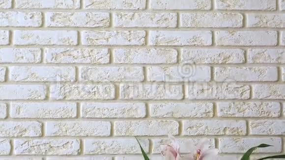 装饰砖墙背景上的兰花兰花视频的预览图