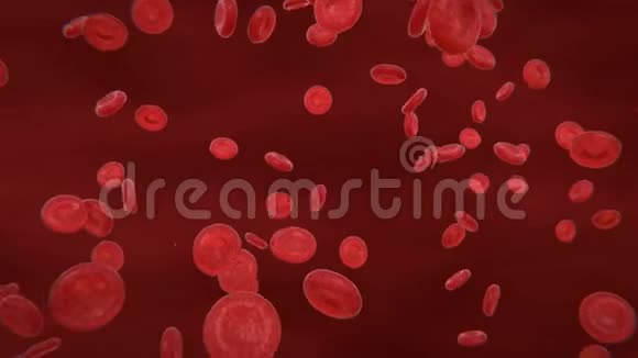 血细胞流动静态视图视频的预览图