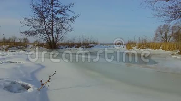 田野里绿草如茵白雪皑皑远离俄罗斯的户外枯树冬天的风景户外的宁静视频的预览图