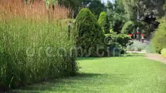 英国风格的美丽花园视频的预览图