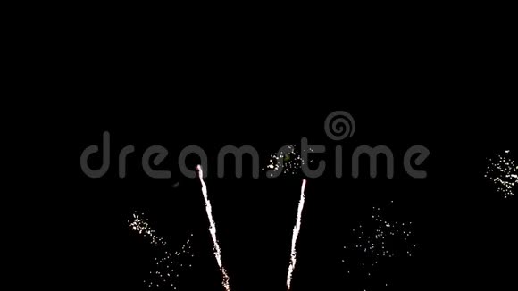 烟花照亮了天空新年生日庆祝视频的预览图