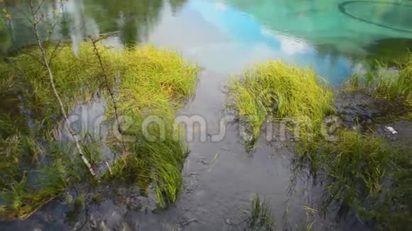 阿勒泰山蓝色间歇泉湖西伯利亚俄罗斯视频的预览图