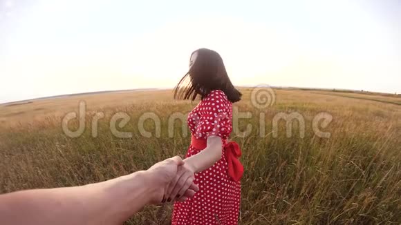 跟我来美丽的肖像黑发女孩与一个男人携手在自然领域浪漫爱情慢生活方式慢生活方式视频的预览图