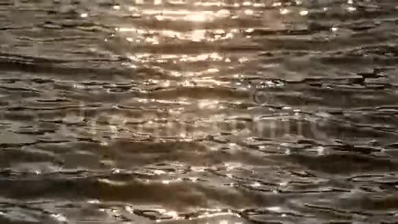 水在河里流动视频的预览图