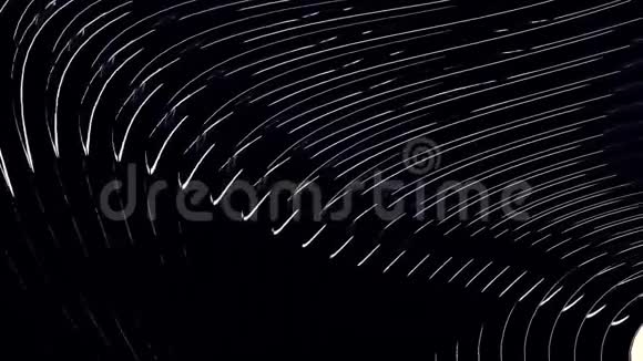 动态波浪运动中流动线的图形单色背景黑色上白色动画白色窄条纹视频的预览图