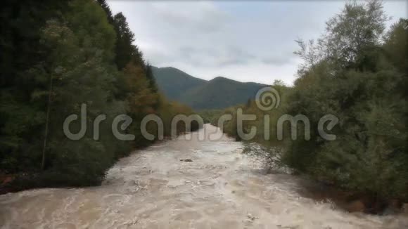 穿过森林的河景视频的预览图