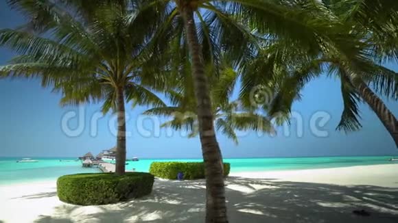 马尔代夫岛的景色视频的预览图