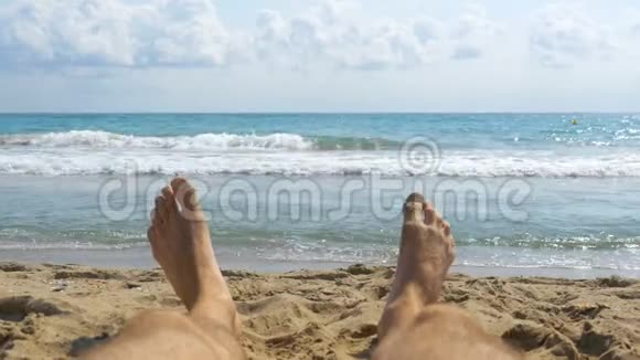 狮子座躺在海边的沙滩上视频的预览图