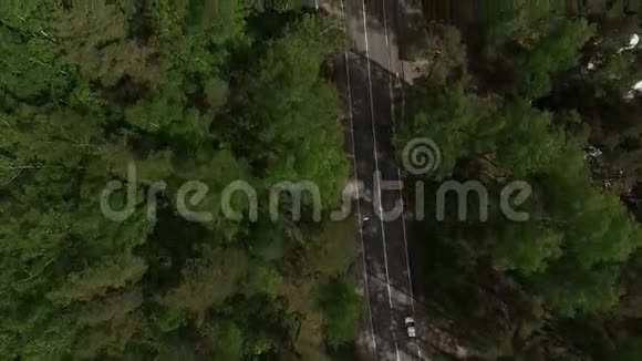 4k空中景观与森林道路视频的预览图