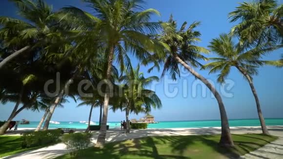 马尔代夫岛的景色视频的预览图