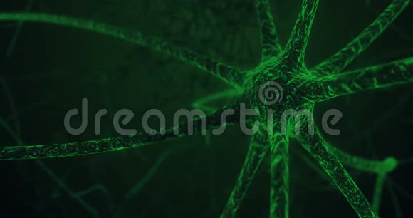 神经元细胞突触的显微观察视频的预览图
